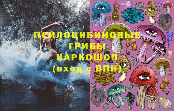 PSILOCYBIN Гусев