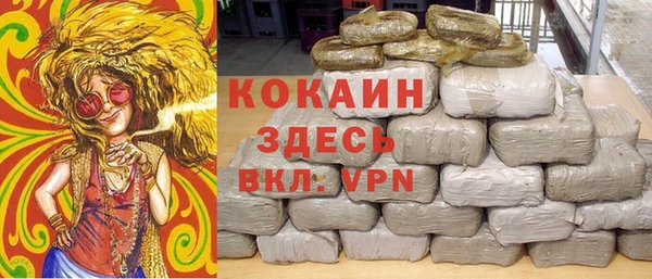 PSILOCYBIN Гусев