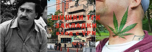 PSILOCYBIN Гусев