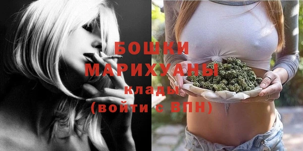 стафф Тутаев