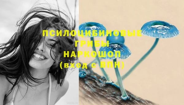 гашиш Гусь-Хрустальный